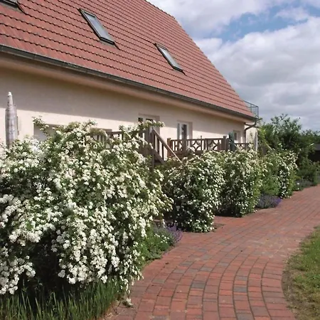 Moderne Nahe Mueritzsee In Apartmán *
